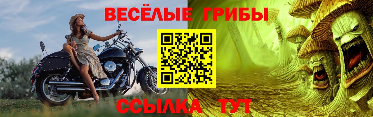 Ирбит  где найти   Вход с VPN  Псилоцибиновые грибы мухоморы 